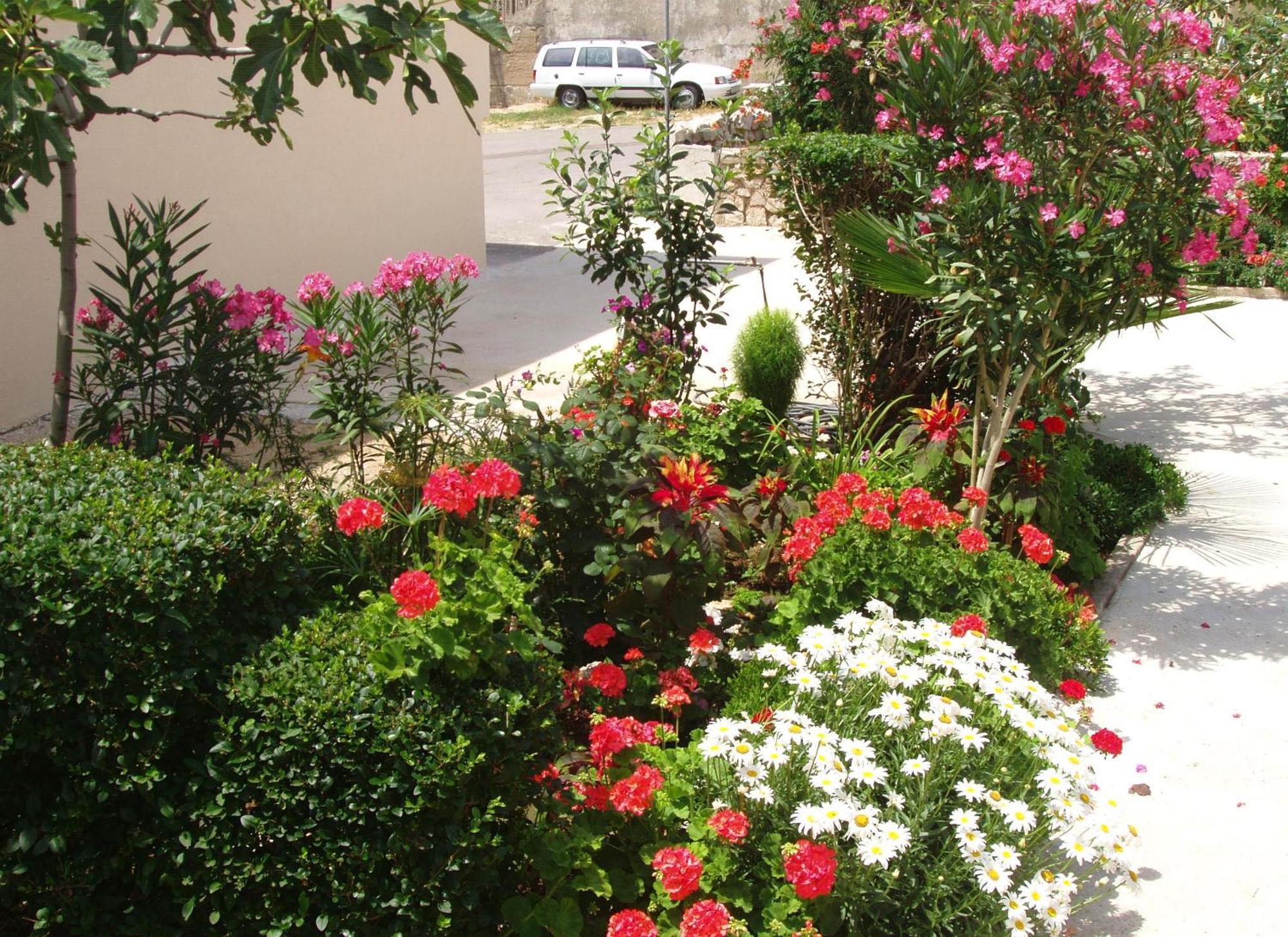 Apartments With A Parking Space Povljana, Pag - 228 Exterior foto